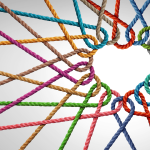 Building Your Collector Network