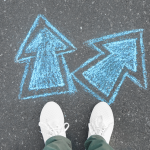 How Informed Decisions Shape Your Collectible Investments