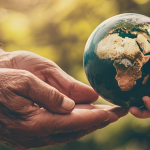 Passing the Torch: The Art of Generational Collecting