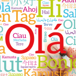 Breaking Barriers: Collecting Without Borders in 12 Languages