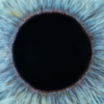 Top 10 Collectible Trends to Watch in 2025