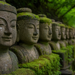 The Art of Preservation: Keeping Collectibles Pristine