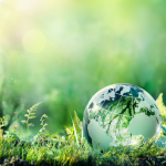 Sustainability in Collecting: How to Make a Positive Impact