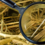 Obscure and Hard-to-Find Collectibles You Didn’t Know Existed