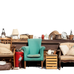 The Science Behind Collecting: Why We Treasure the Past