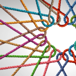 Building Your Collector Community & Finding Hidden Gems on MPC