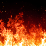 The Rise of Celebrity Memorabilia – What’s Hot in 2025