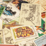 It’s Not Just What You Collect—It’s How You Show It Off