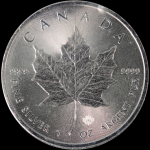 Collecting for Profit: Dos and Don’ts of Investment Collectibles