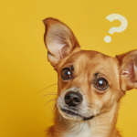 What Modern Collectors Need to Know About Long-Term Value