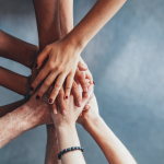 How Collectiblepedia Enhances Collector Knowledge and Community