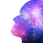 The Psychology of Collecting: Why We Love to Gather and Preserve