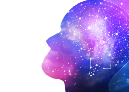 The Psychology of Collecting: Why We Love to Gather and Preserve