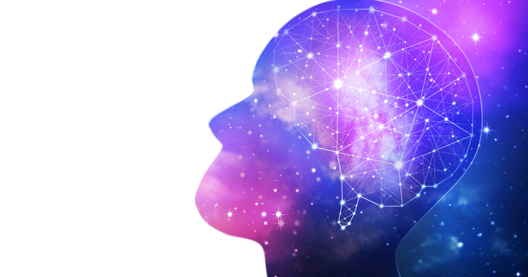 The Psychology of Collecting: Why We Love to Gather and Preserve