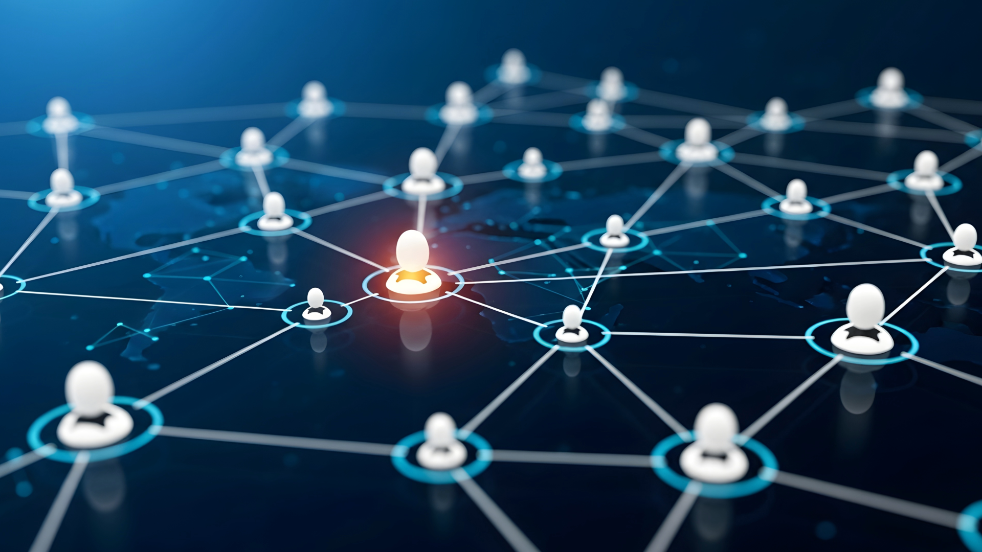 The Collector’s Social Network: Why Communities Win