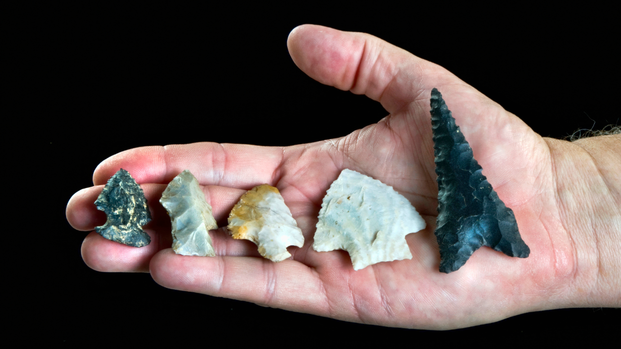 Historical Artifacts & Their Modern Collectible Value