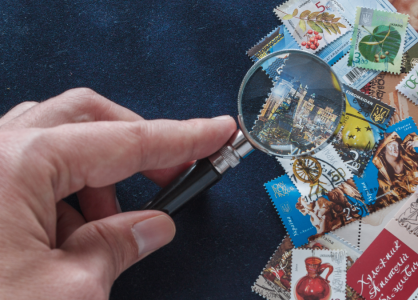 From Niche Hobbies to Investment-Ready Assets