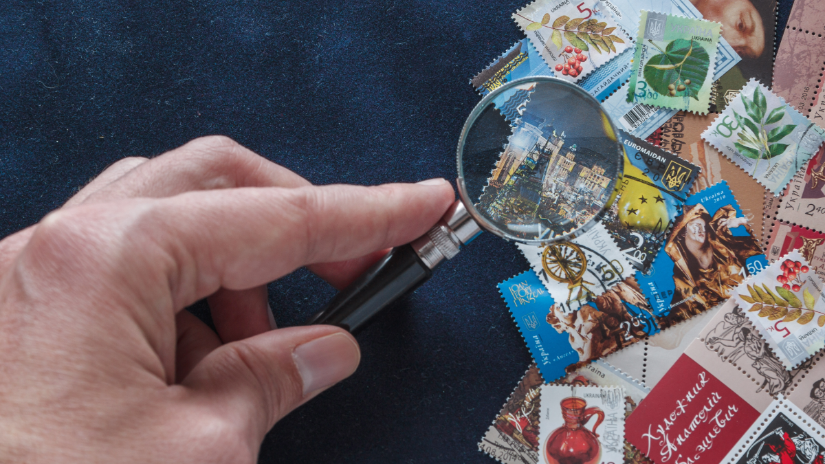 From Niche Hobbies to Investment-Ready Assets