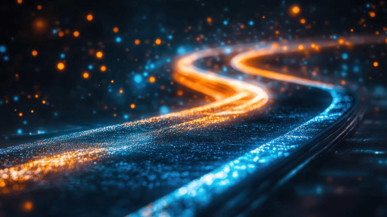 Why Digital Organization Is Now a Collector’s Superpower