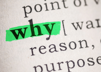 Why Humans Are Wired to Preserve, Archive, and Treasure