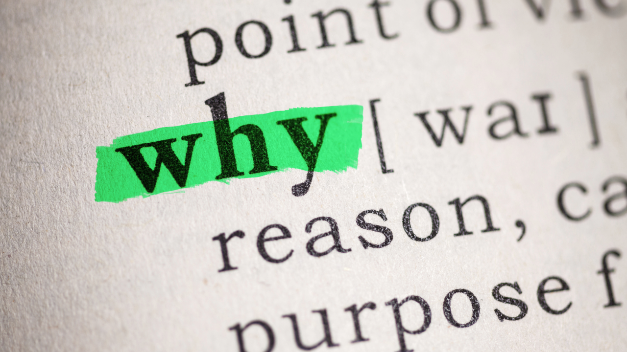 Why Humans Are Wired to Preserve, Archive, and Treasure