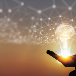 The Internet Changed Collecting — But Knowledge Still Wins