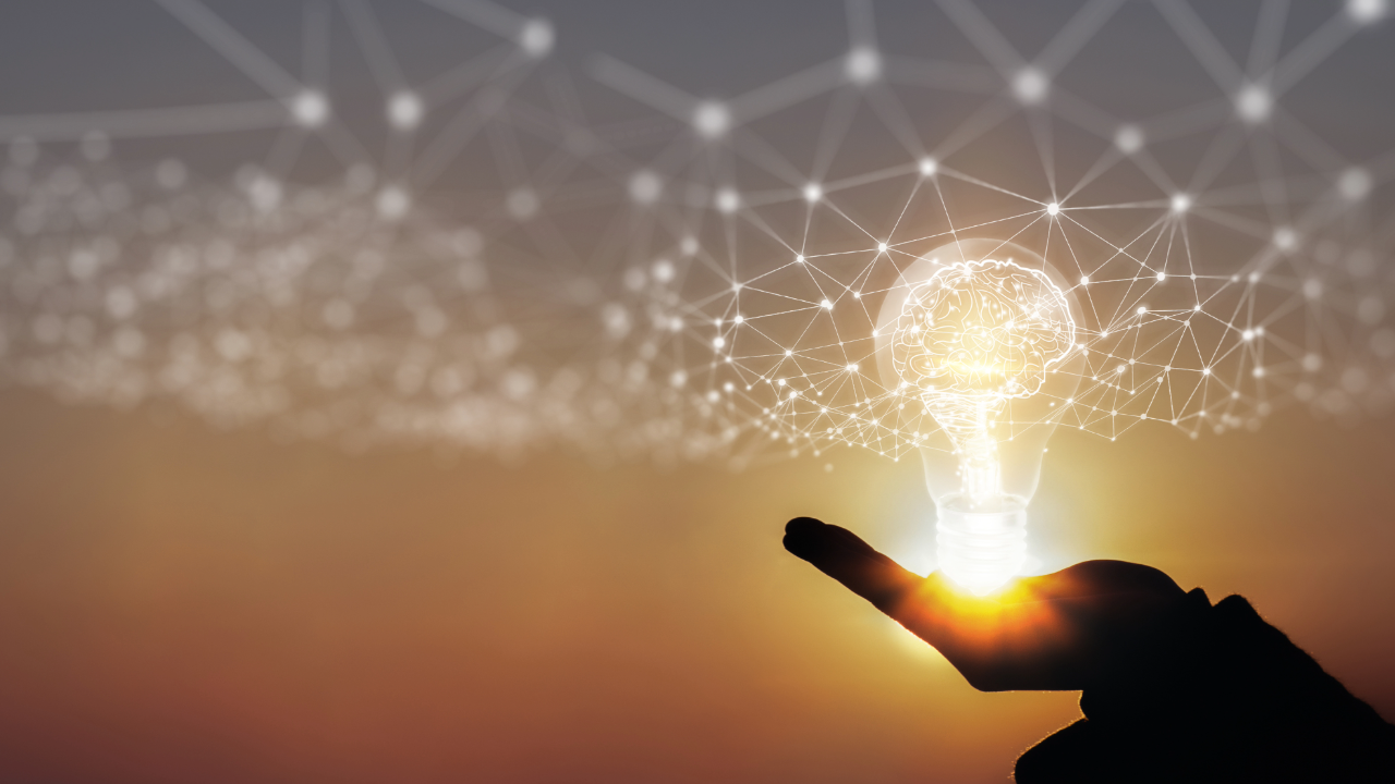 The Internet Changed Collecting — But Knowledge Still Wins