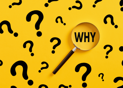 Why People Collect: The Psychology Behind Human Collecting