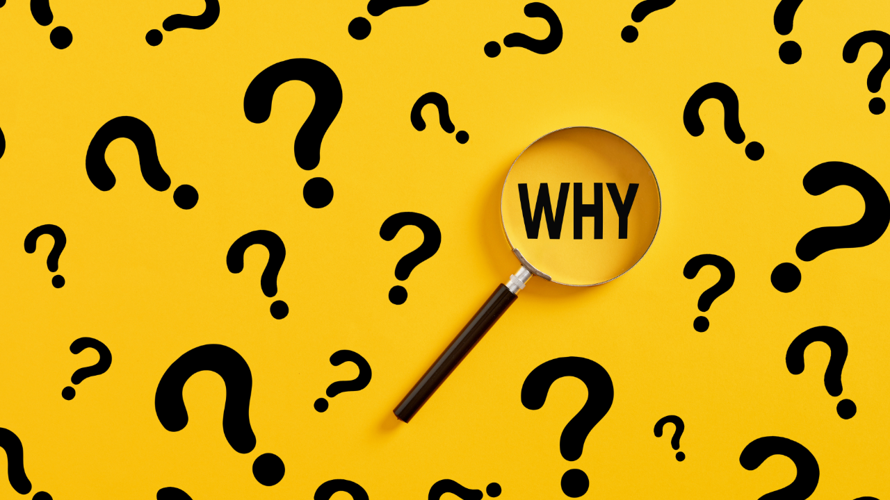 Why People Collect: The Psychology Behind Human Collecting