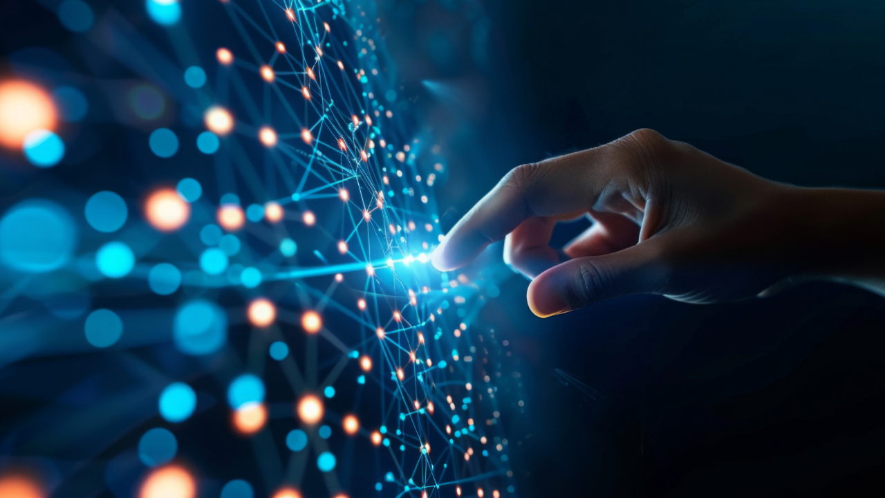 Why Serious Collectors Are Digitising Their Collections in 2026