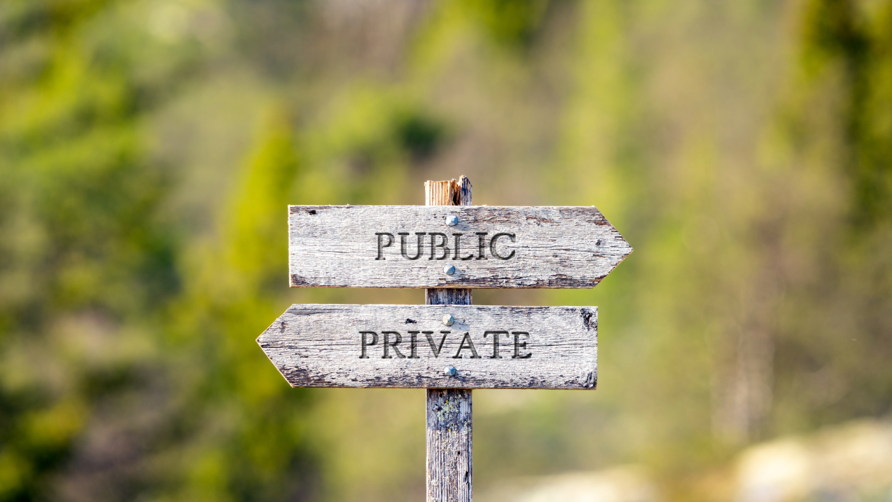 Private or Public? Why Today’s Collectors Want Both